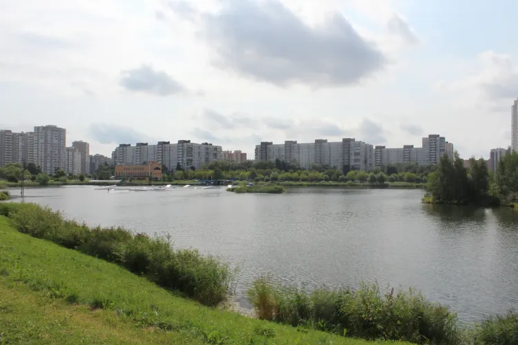 Водоем.webp