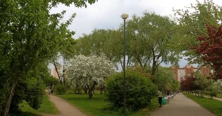 «Территория спорта. День за Днем». Яблоневый сад