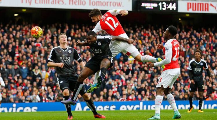 Зеркало жизни. В поисках злой собаки