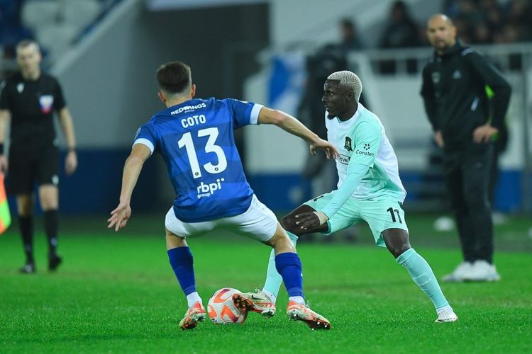 Борьба зубра и быка завершилась эмоциональной ничьей