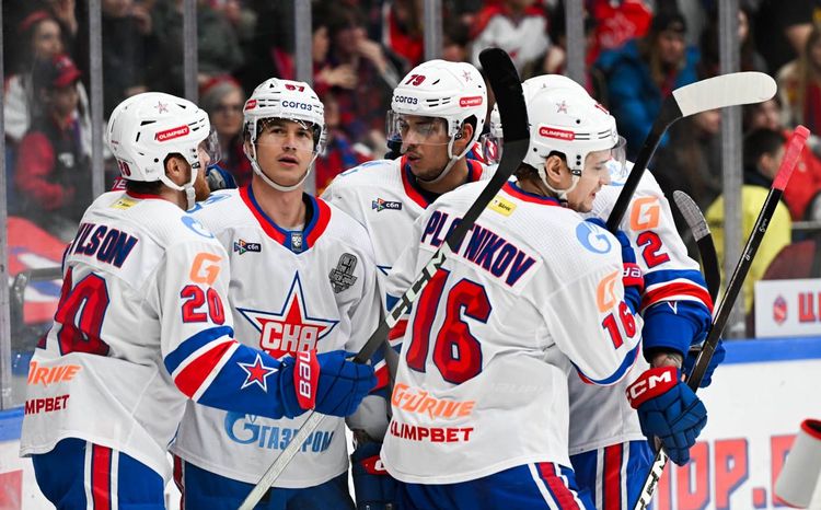 Плющев – о СКА: Основная проблема команды – незнание законов хоккейного мира