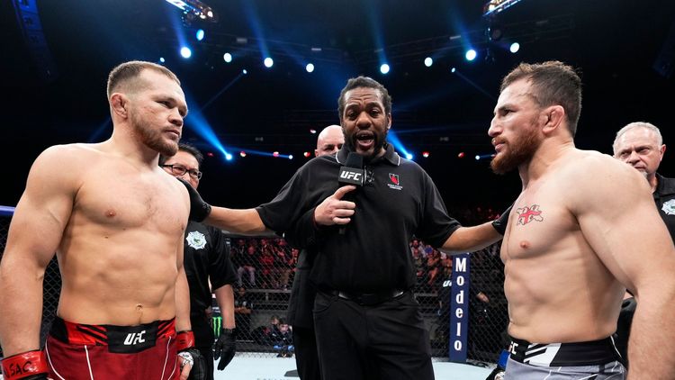 Ян – Двалишвили: где покажут, сколько заработают бойцы