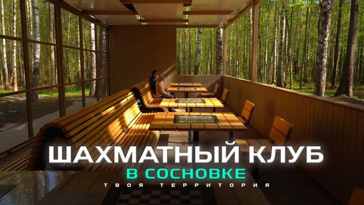 «Твоя Территория. День за Днем». Шахматный клуб в Сосновке