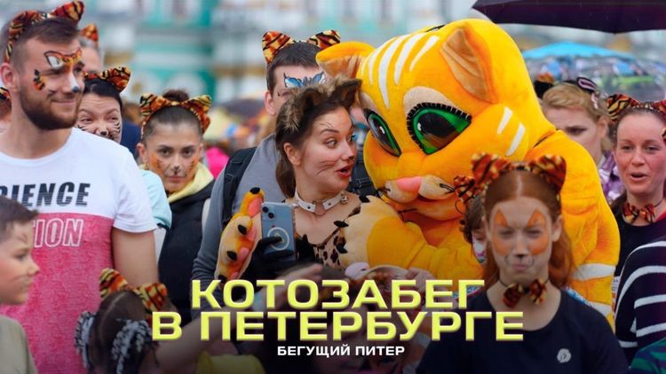 «Территория спорта. День за Днем. Бегущий Питер». Котозабег в Петербурге! 