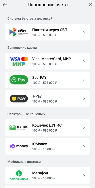 Способы пополнения счета в БК Леон