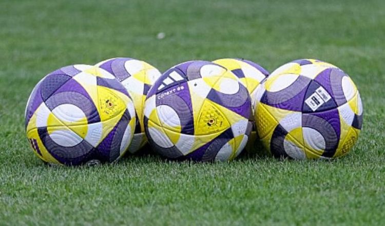 Свищев: Заинтересованность арабскими шейхами «Ротором» может быть частью сделки