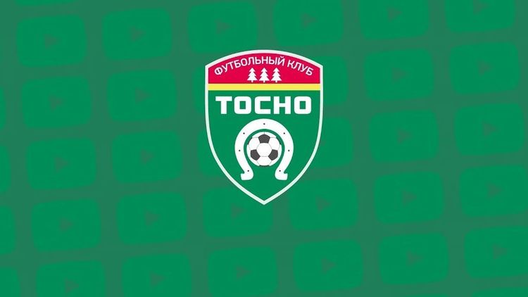 Экс-защитник «Тосно» Логашов: Не вижу смысла в возрождении клуба