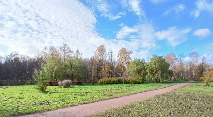 Парк Есенина – место для прогулок и занятий футболом