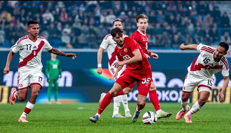 Баррето: Состояние газона на «Газпром Арене» было неудовлетворительным