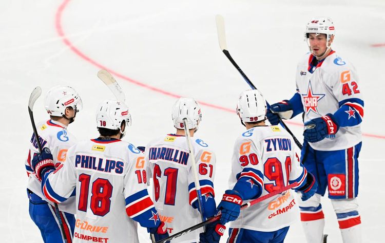 СКА дома проиграл «Сочи» в матче КХЛ