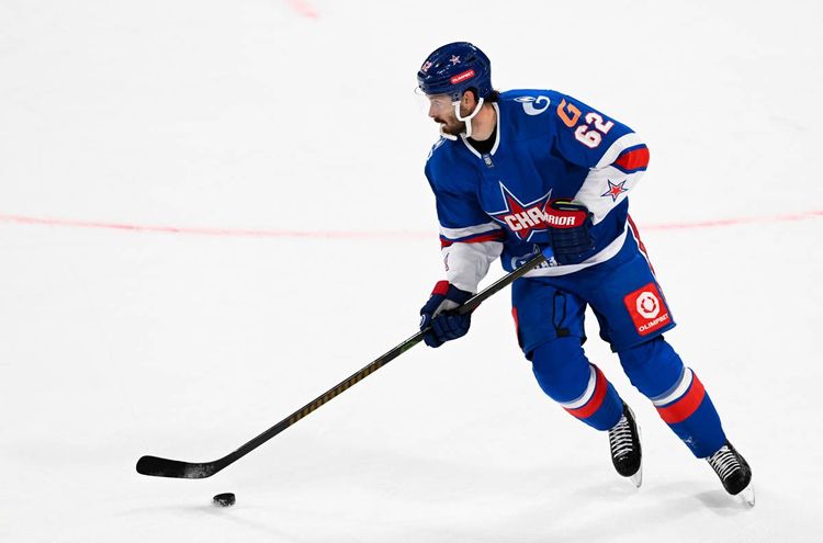 ska_barys_FSD_6902.jpg