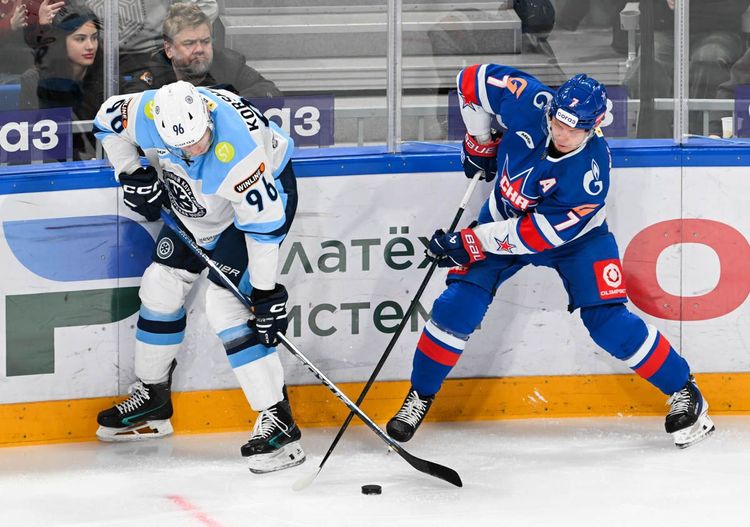 ska_sibir_FSD_3659.jpg