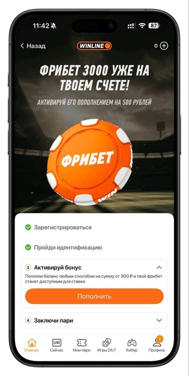 За регистрацию, идентификацию и пополнение счета через приложение можно забрать фрибет 3000 рублей
